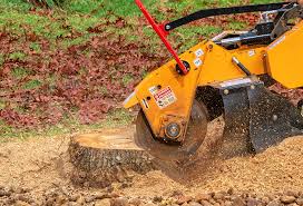 How Our Tree Care Process Works  in  Florida Ridge, FL